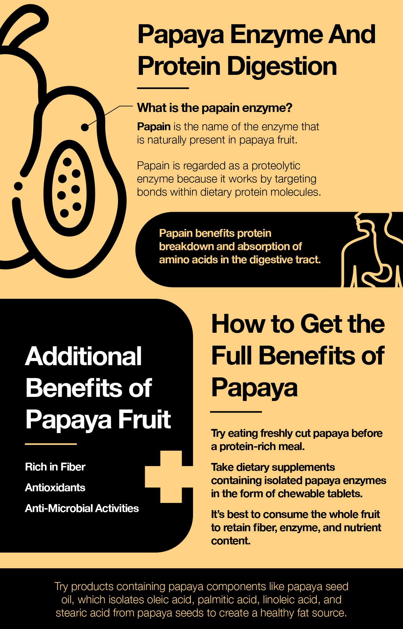 Papaya enzyme and protein digestion