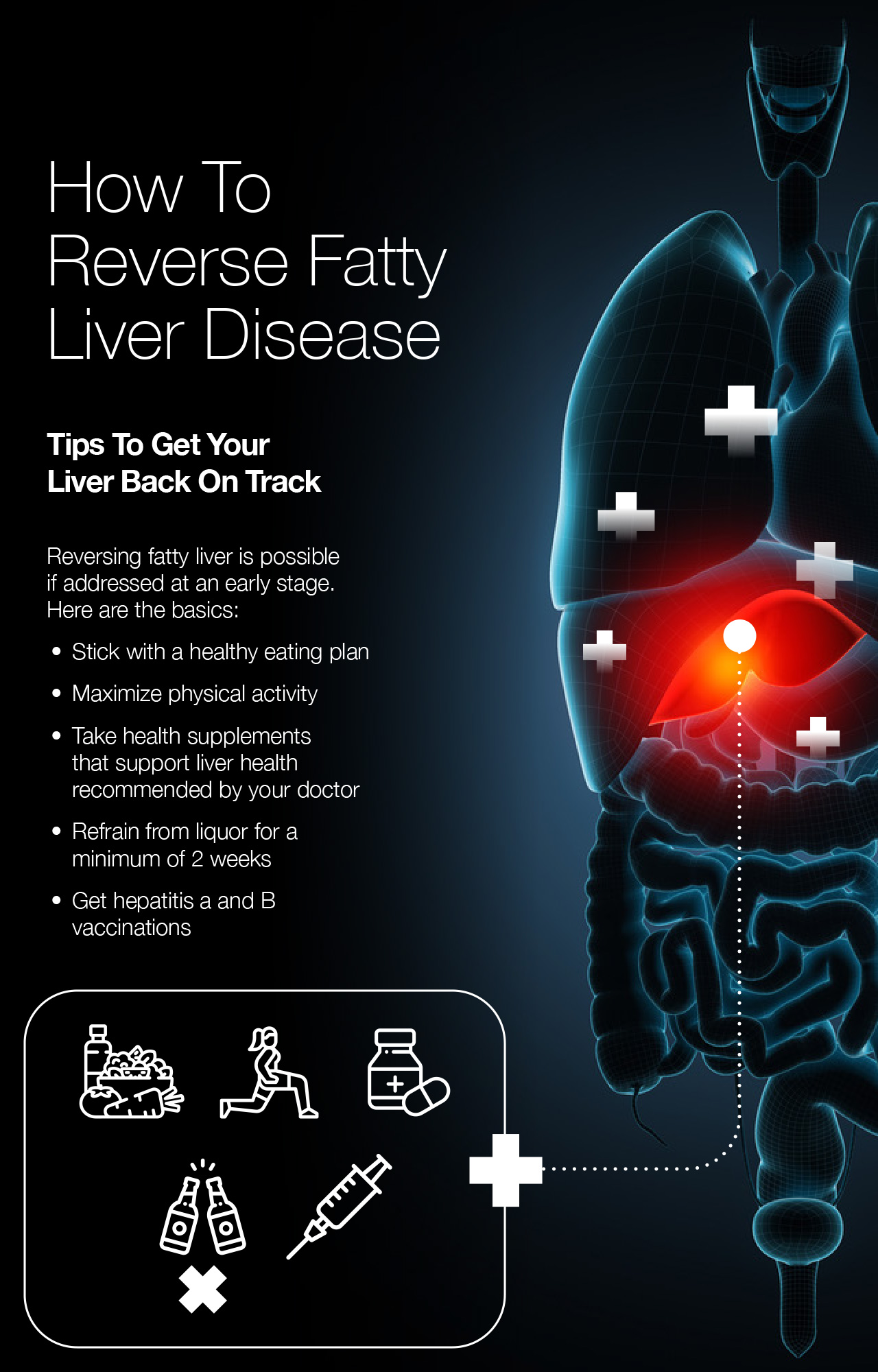 How To Reverse Fatty Liver Disease